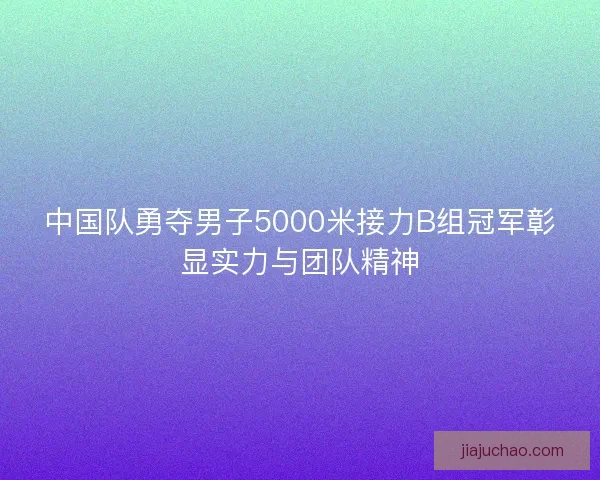中国队勇夺男子5000米接力B组冠军彰显实力与团队精神