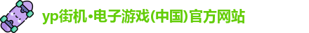 yp电子
